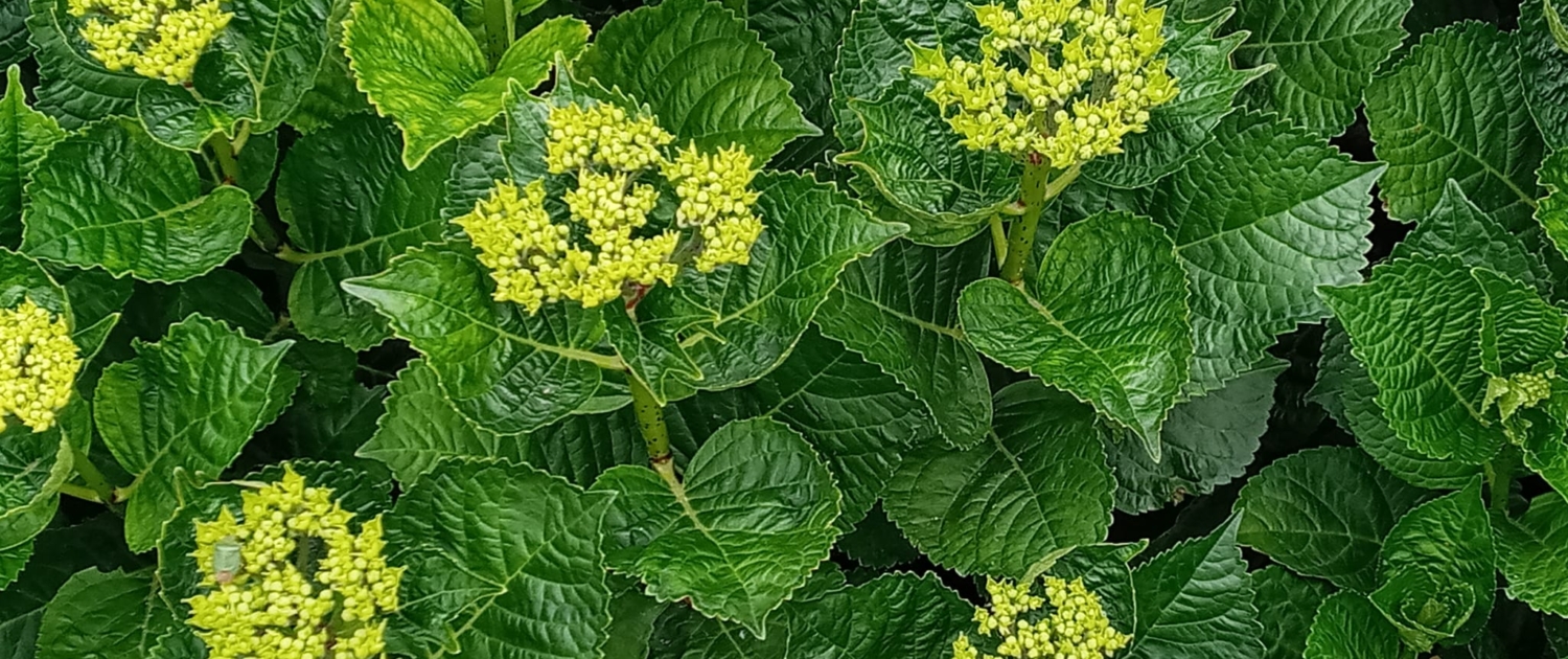 F4757511-ED3E-4292-BBAE-C16D0D4AF2EF